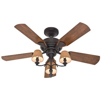 Hunter Fan Company 28703 Newstead 46-Inch 5-Blade 3-Light Ceiling Fan