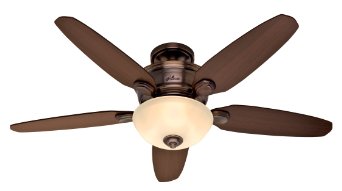 Hunter Fan Company 28711 Stewart 52-Inch 5-Blade Single Light Ceiling Fan